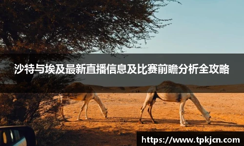 沙特与埃及最新直播信息及比赛前瞻分析全攻略